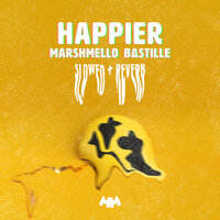 Marshmello & Bastille - Happier