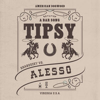 Shaboozey & Alesso - A Bar Song (Tipsy)