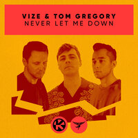 ТОП Чарт песни Never Let Me Down - VIZE & Tom Gregory