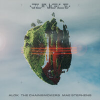 Jungle - Alok & The Chainsmokers & Mae Stephens