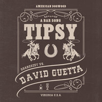 A Bar Song (Tipsy) - Shaboozey & David Guetta